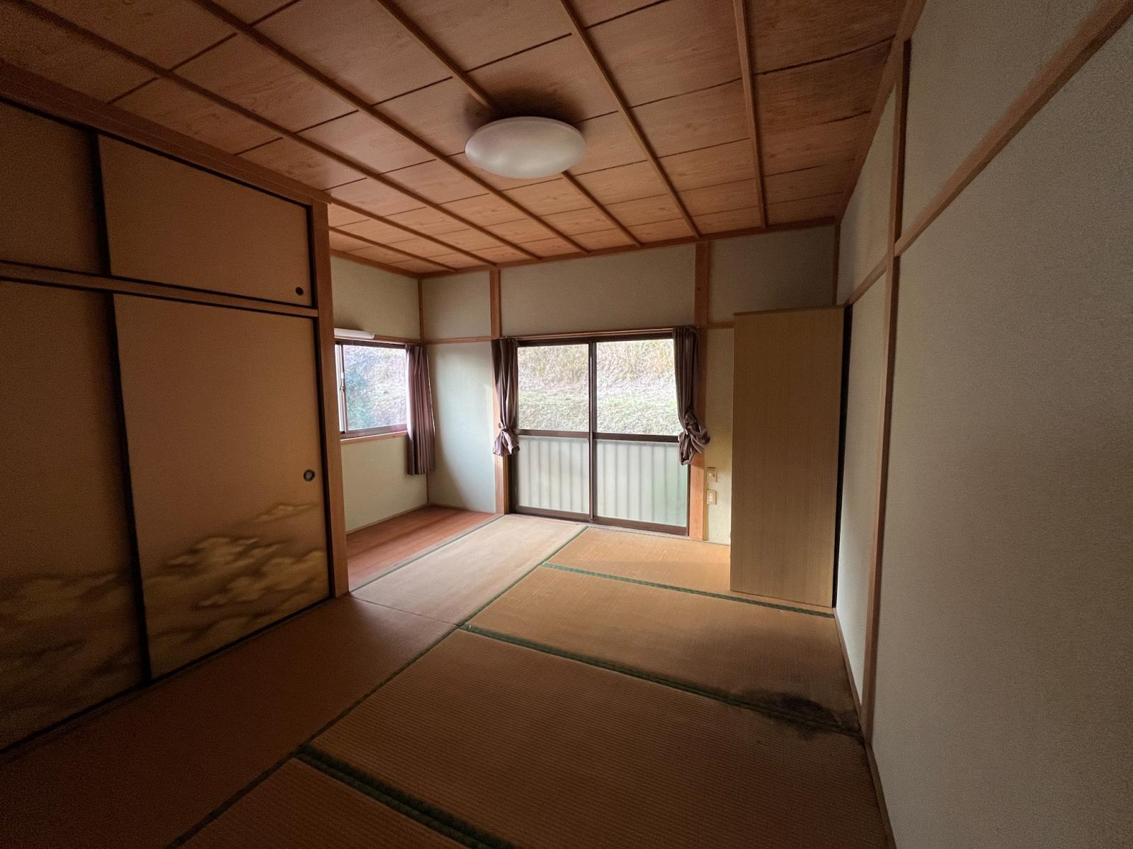 の画像