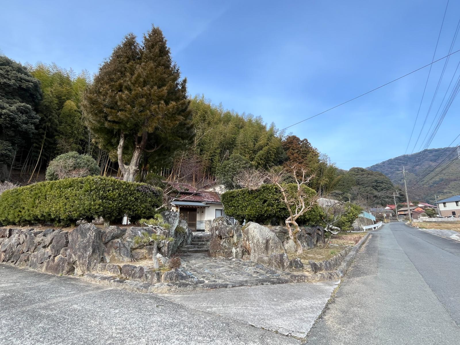 の画像