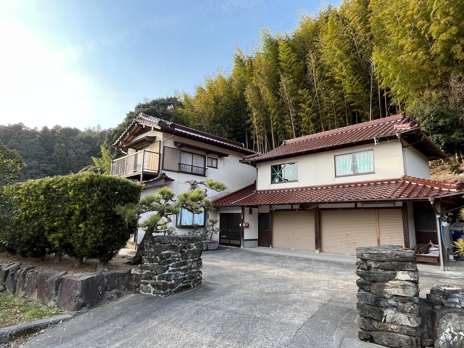 の画像