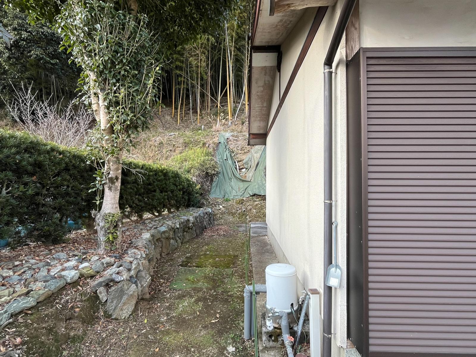 の画像