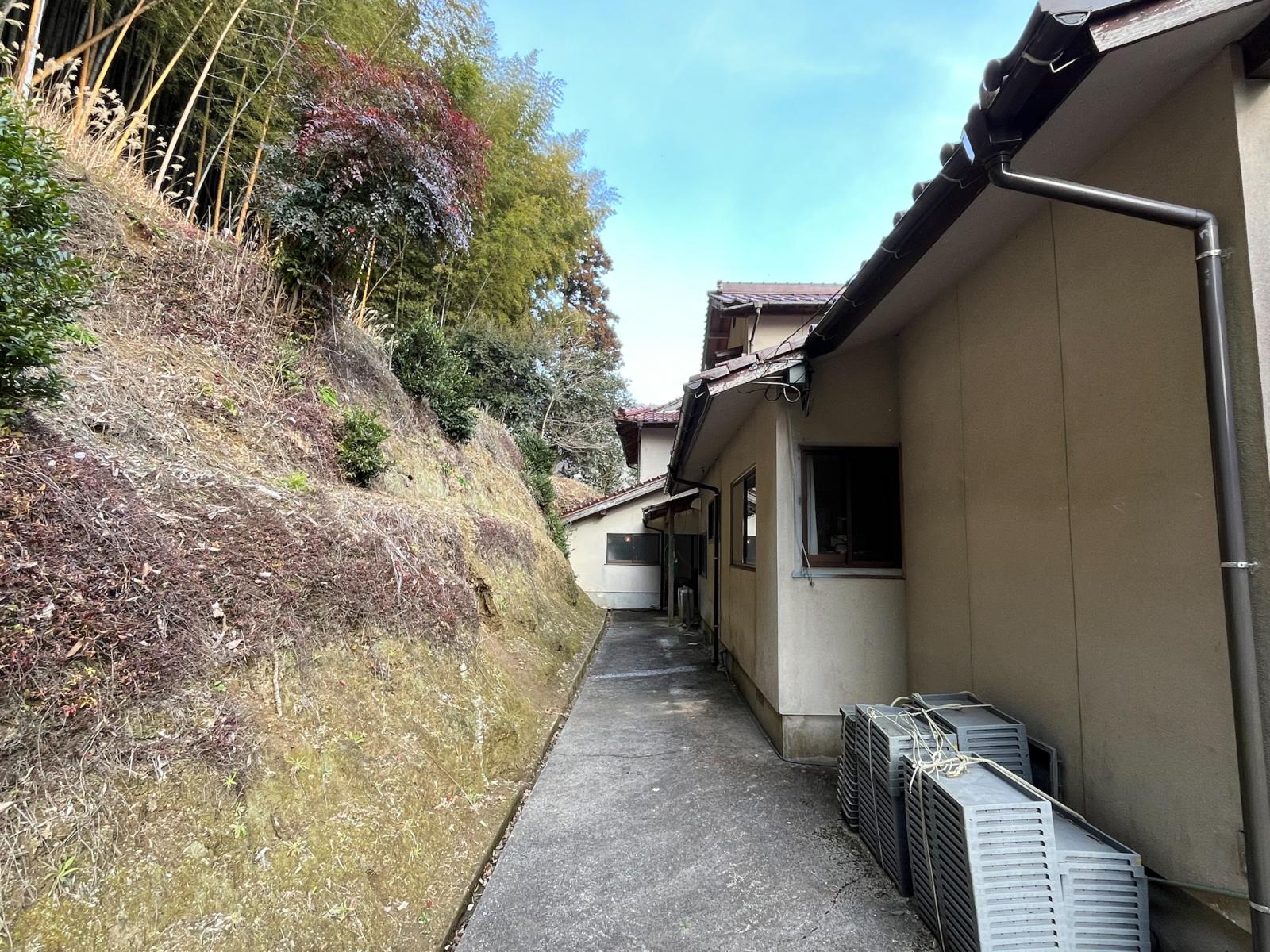 の画像