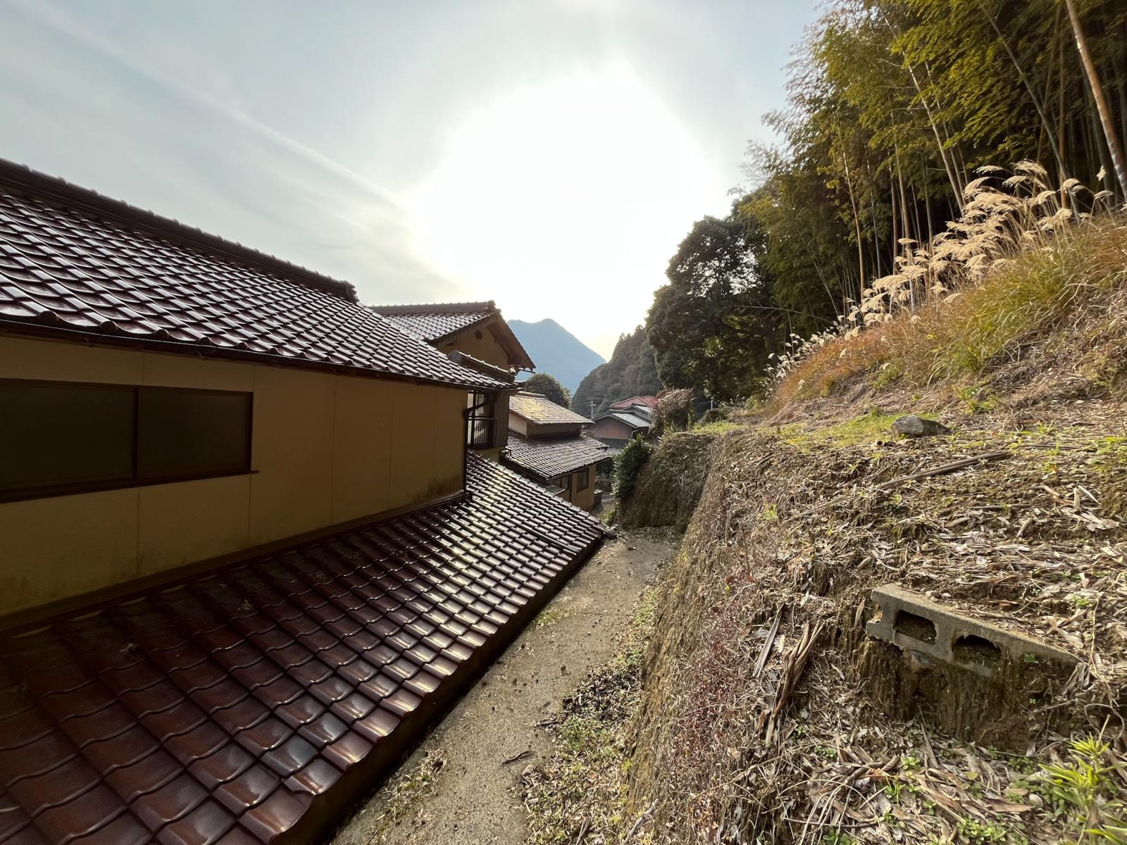 の画像