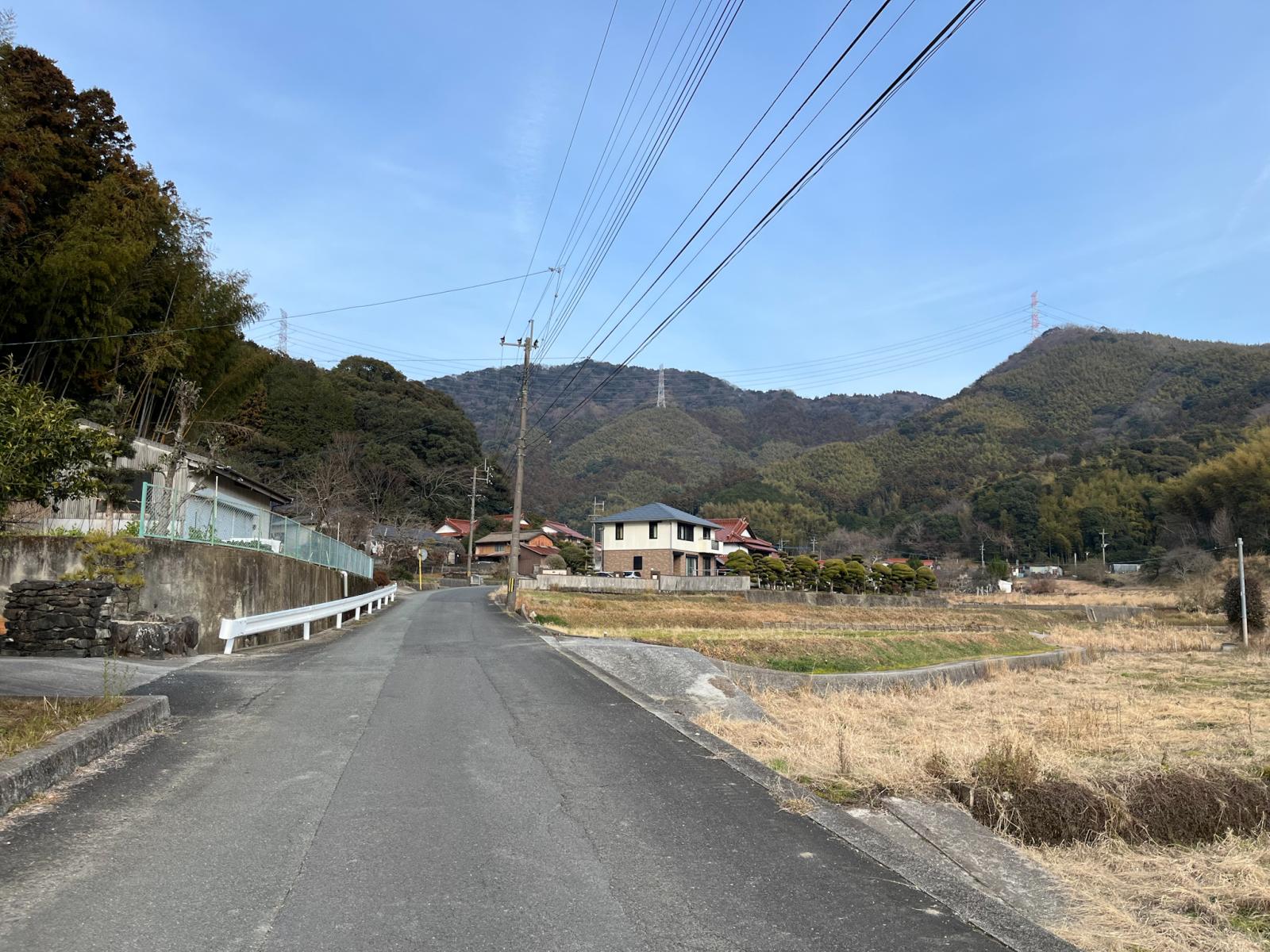 の画像