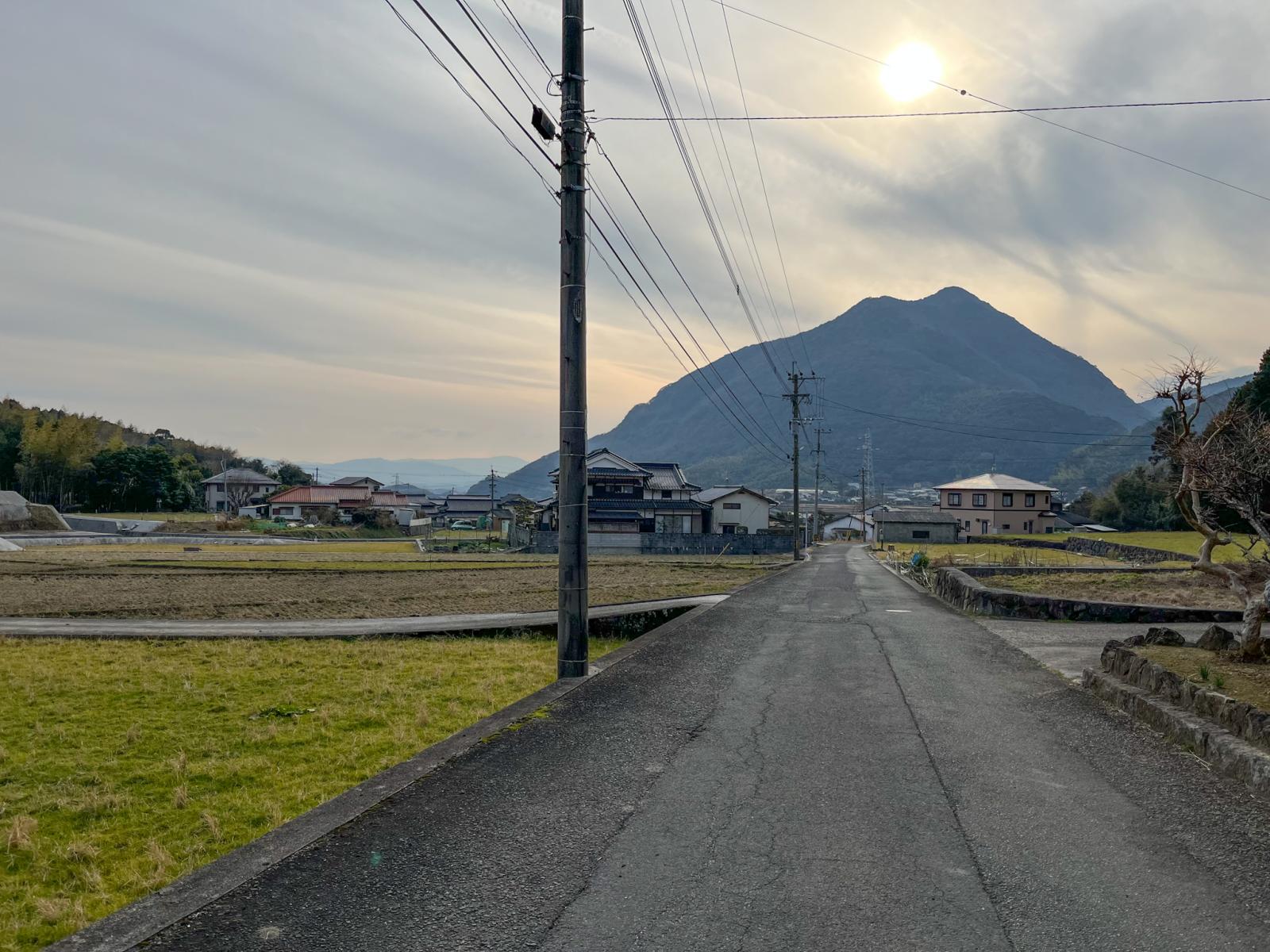 の画像
