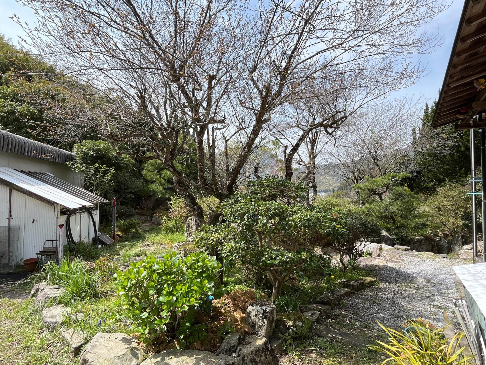 の画像