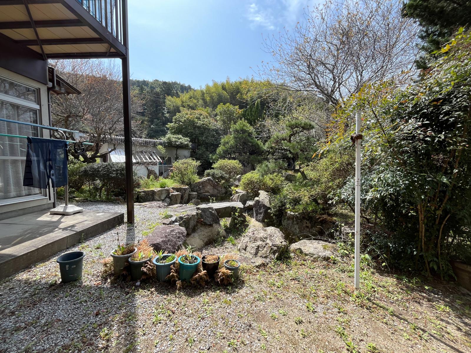 の画像