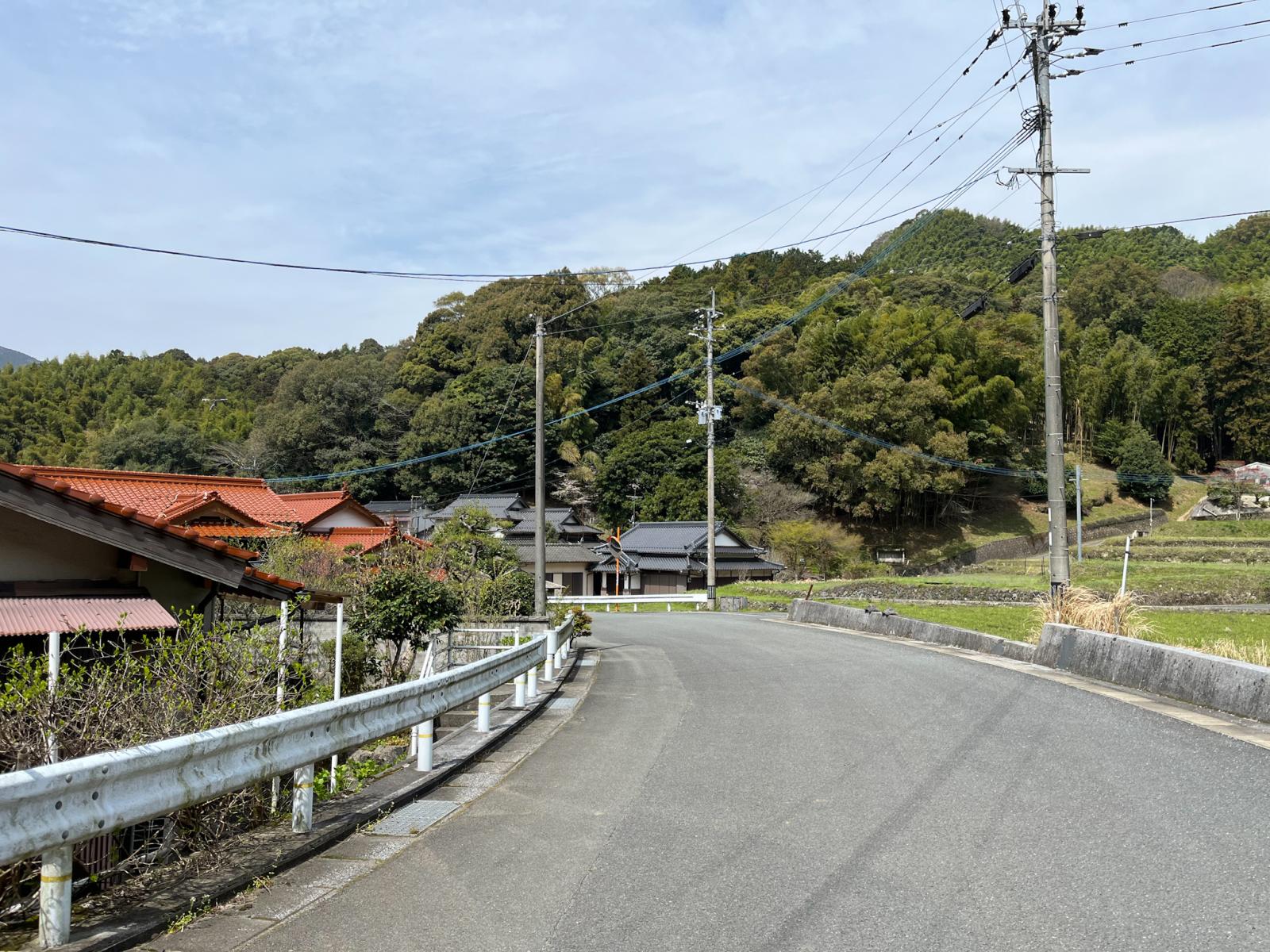 の画像