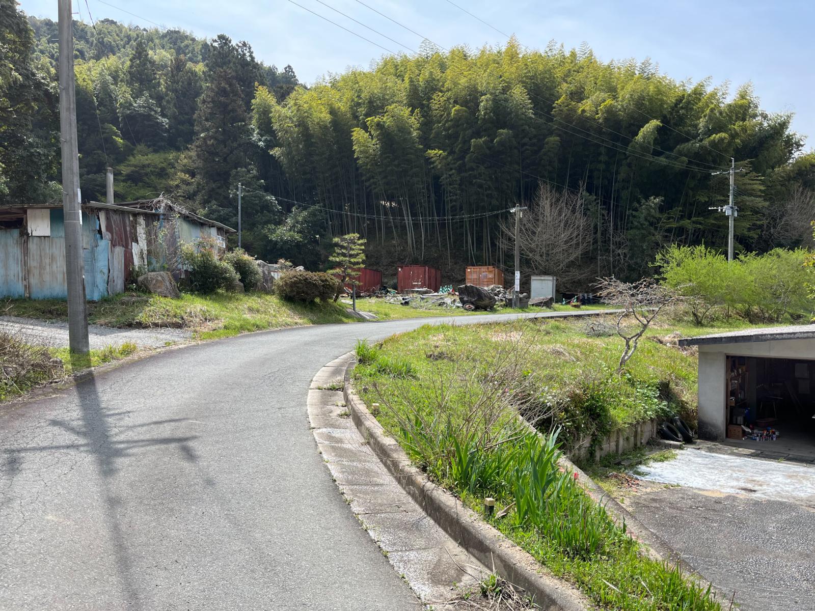の画像