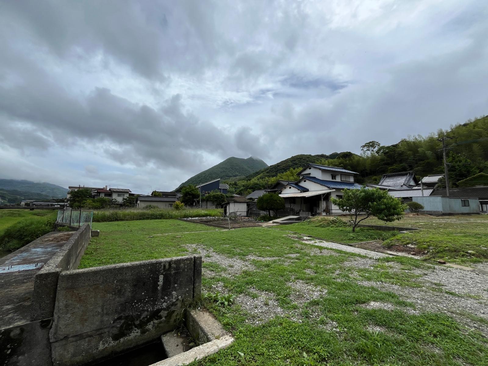 の画像
