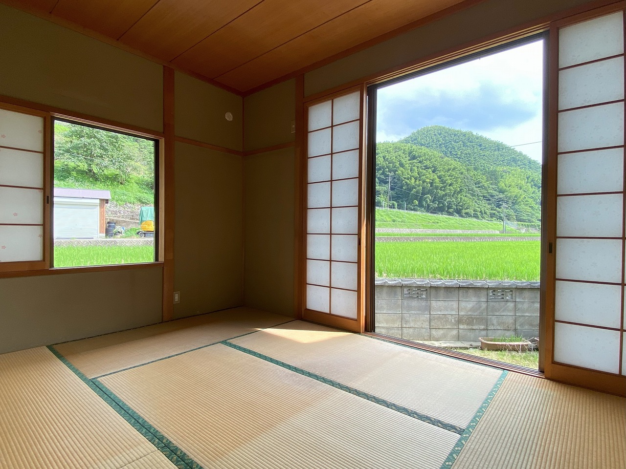 の画像