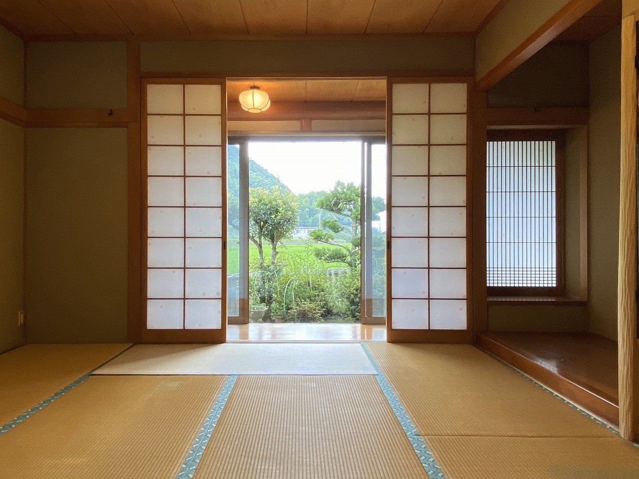 の画像