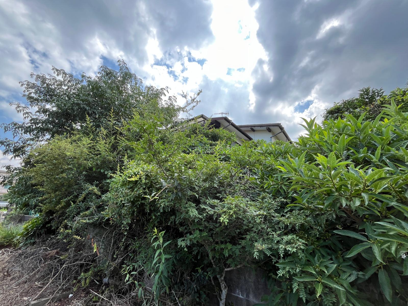 No.345の画像