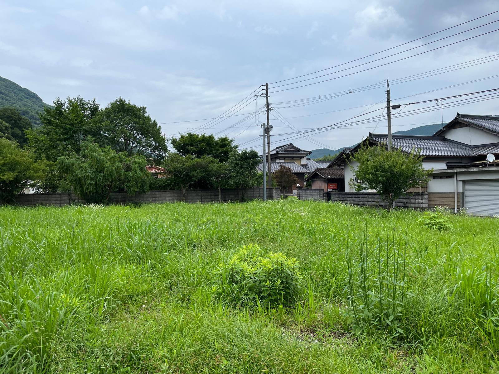 の画像