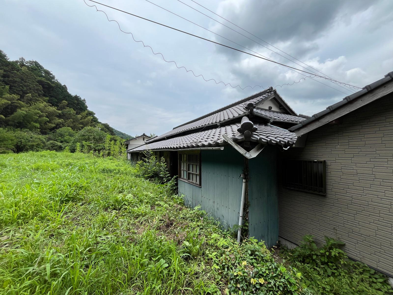 の画像