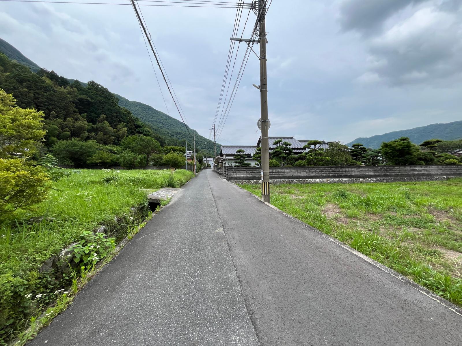 の画像