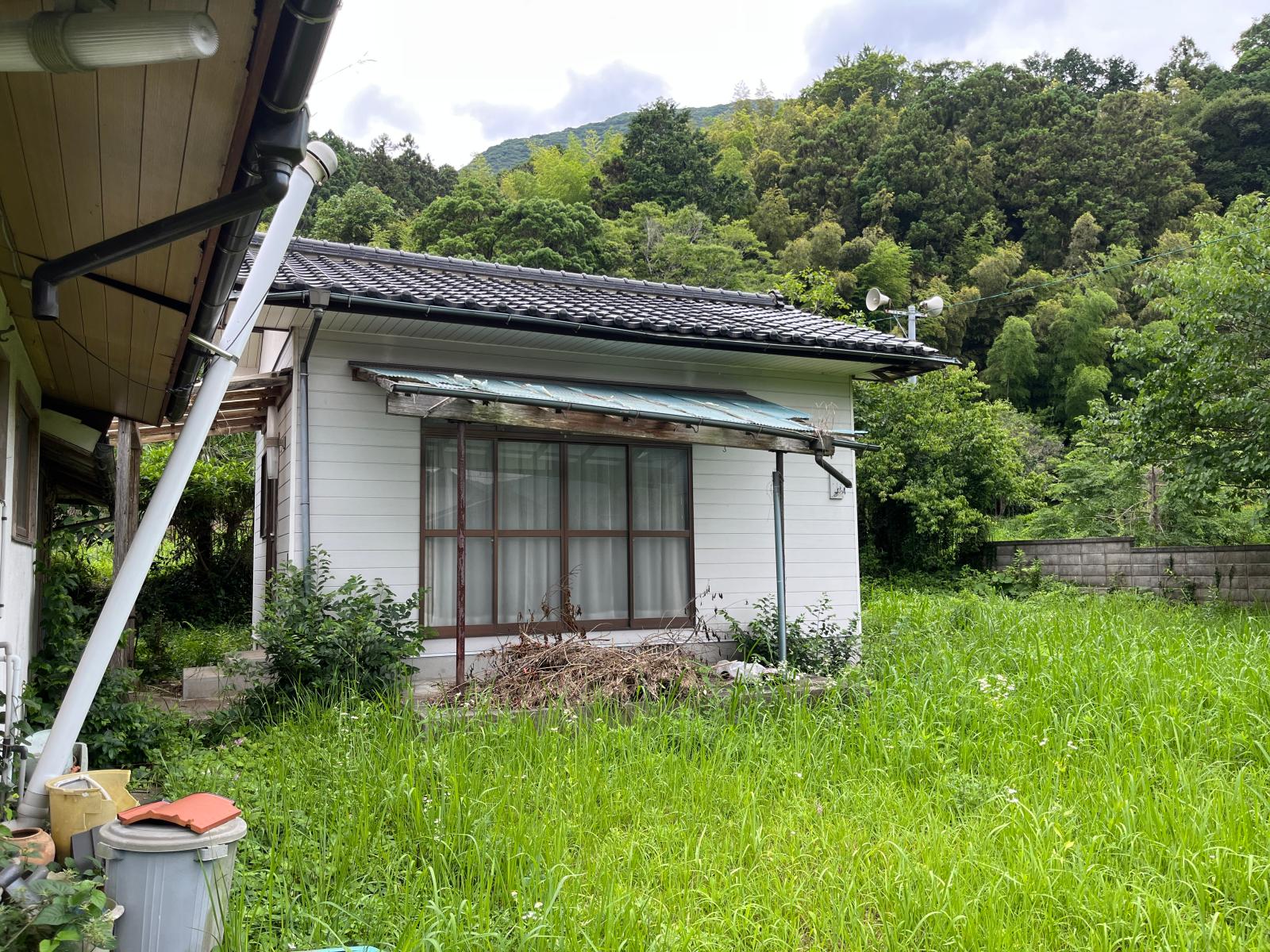 の画像