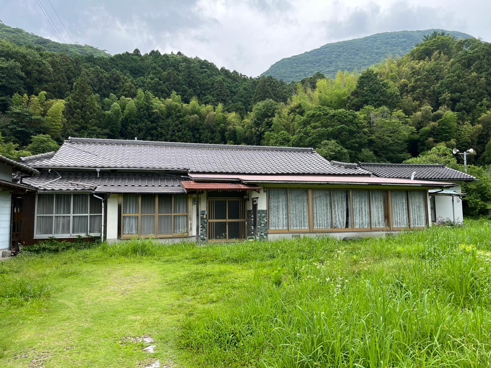 No.343の画像