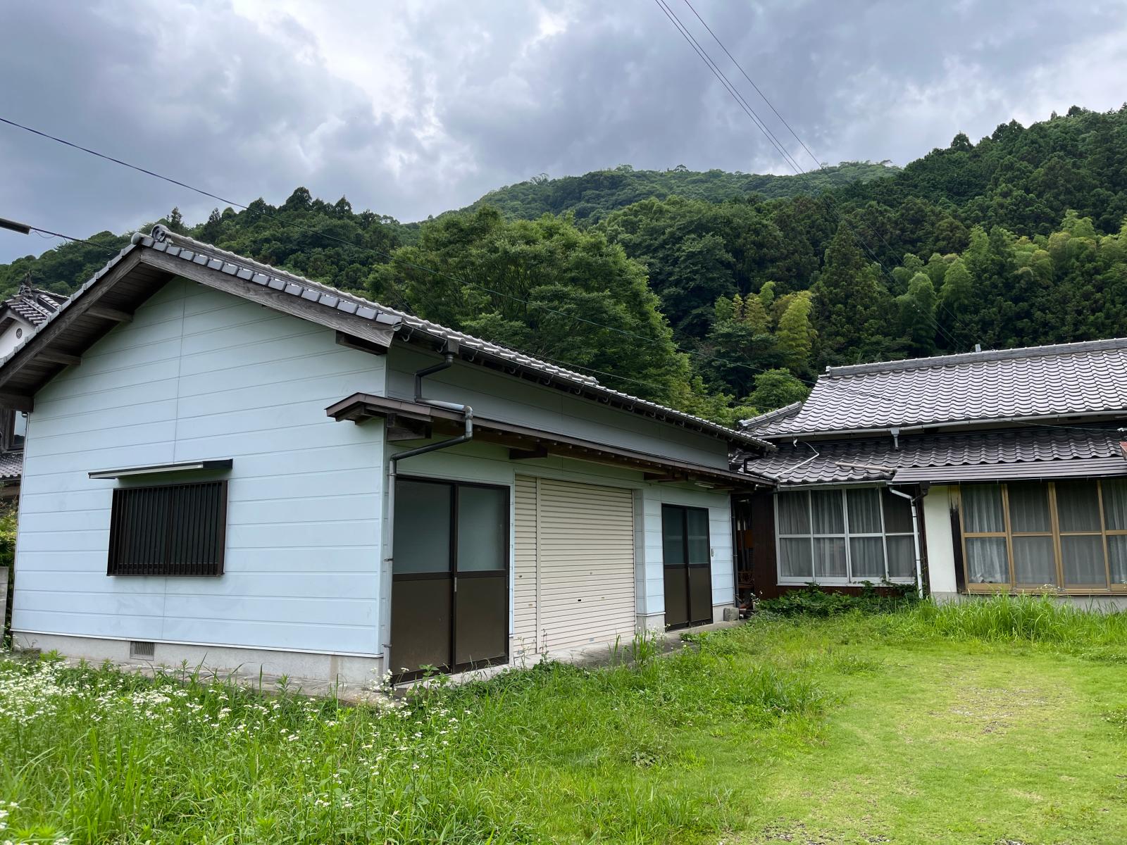 の画像