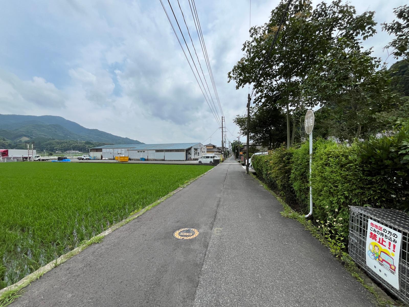 detached 香春