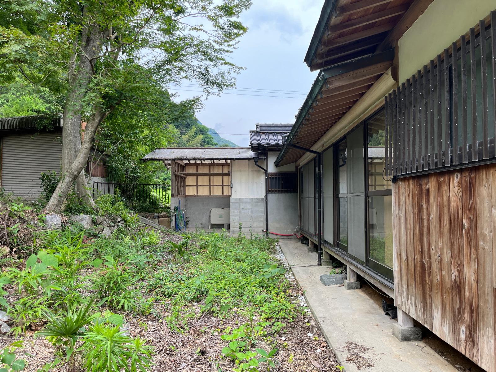detached 香春