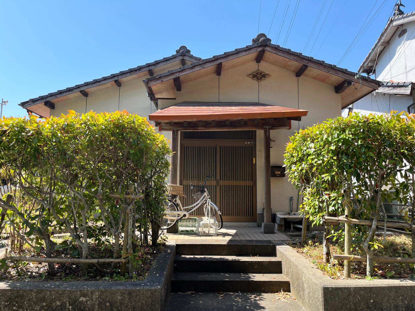 の画像