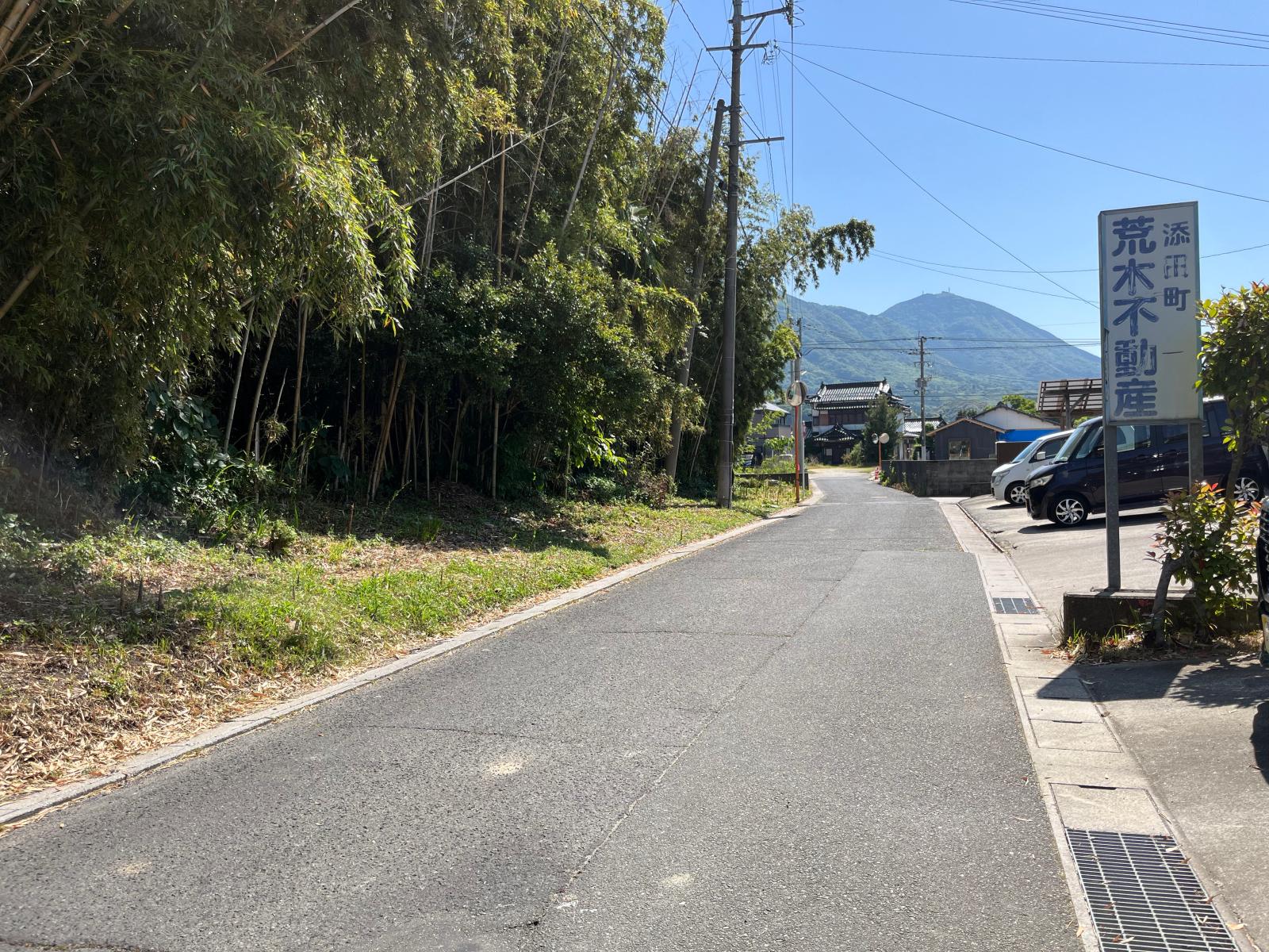 の画像