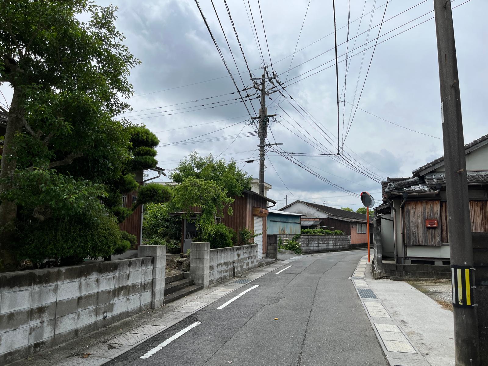 の画像