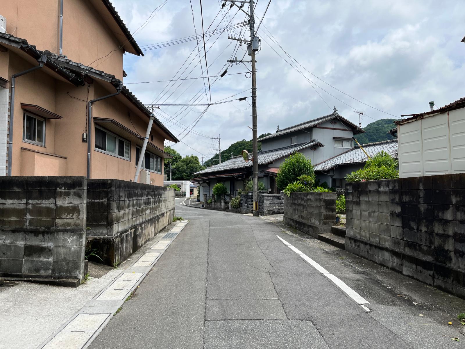 の画像
