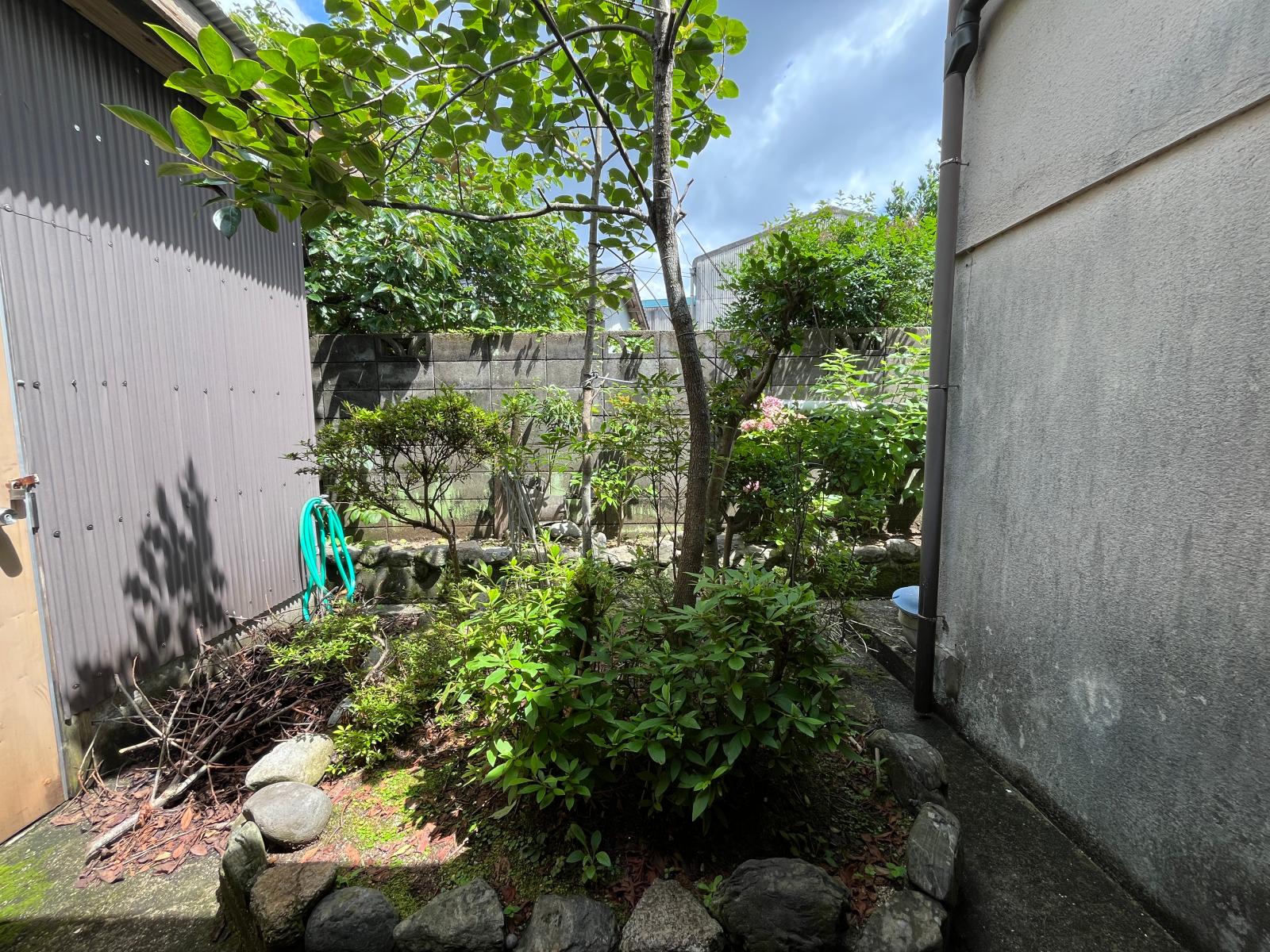 の画像