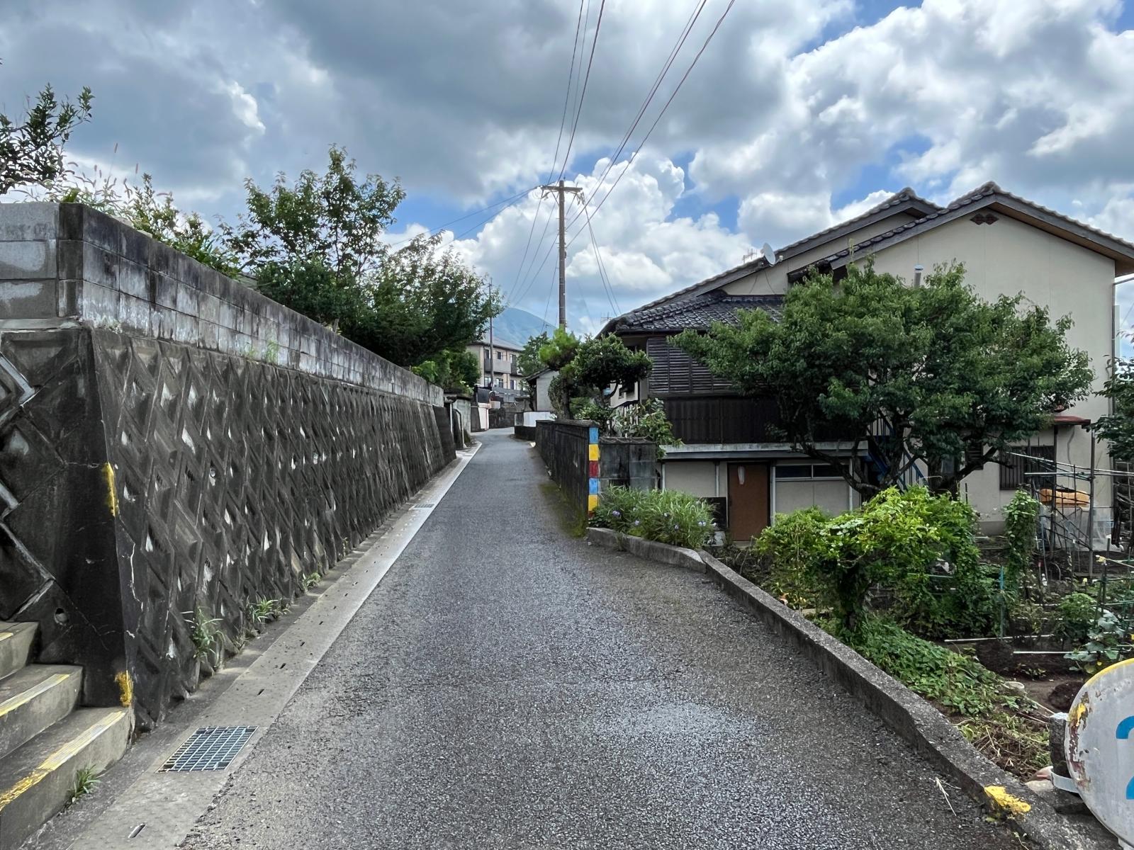 の画像
