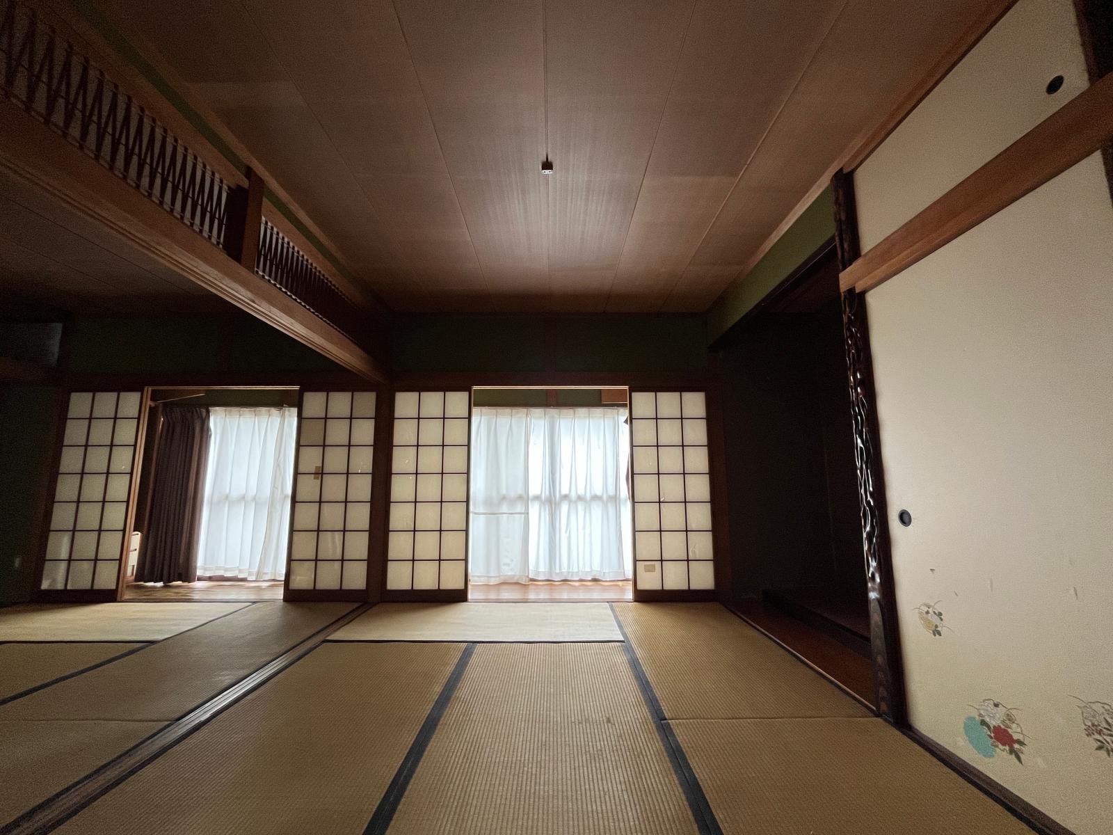 の画像