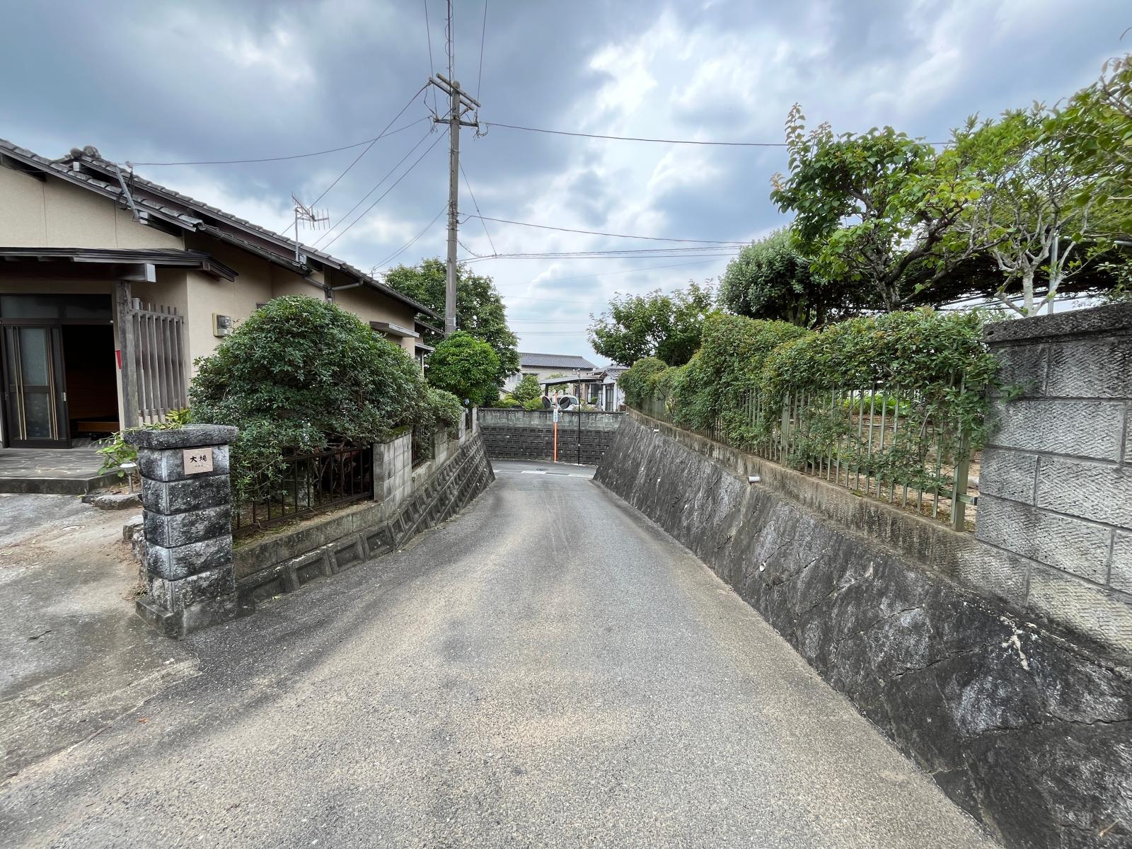 の画像