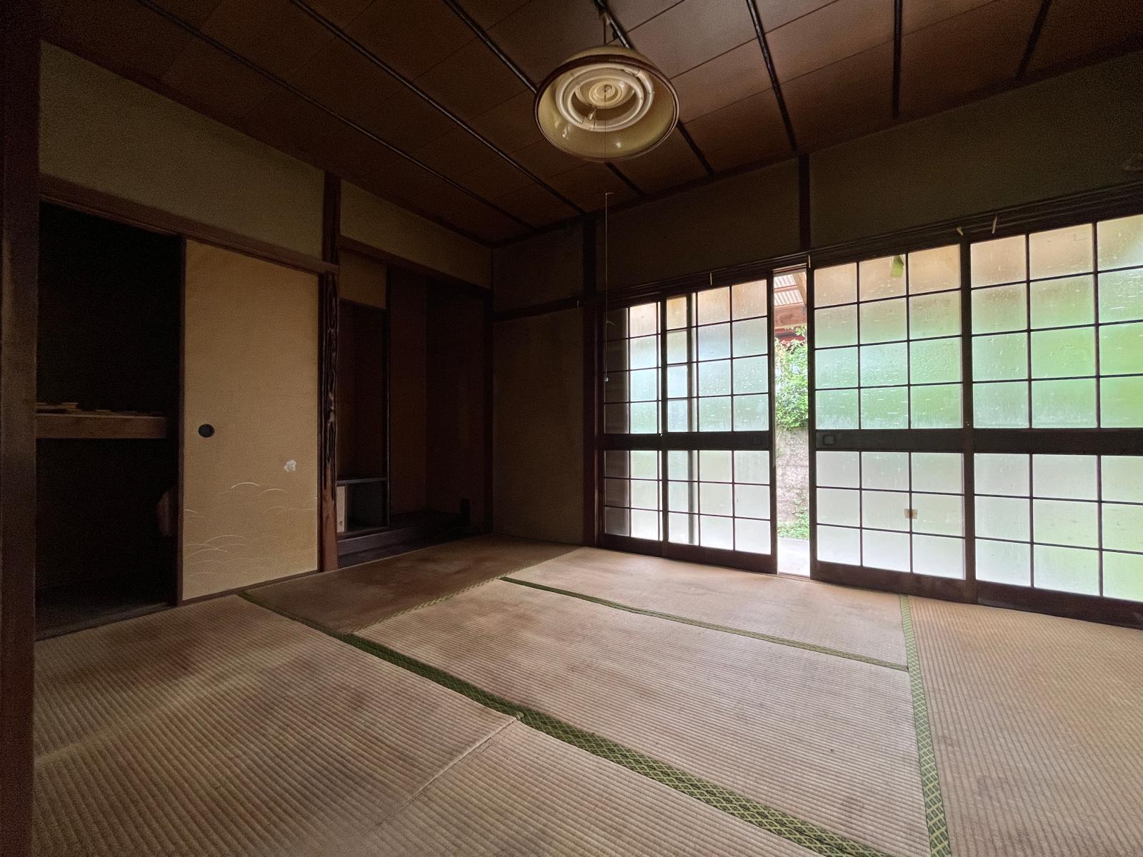 の画像