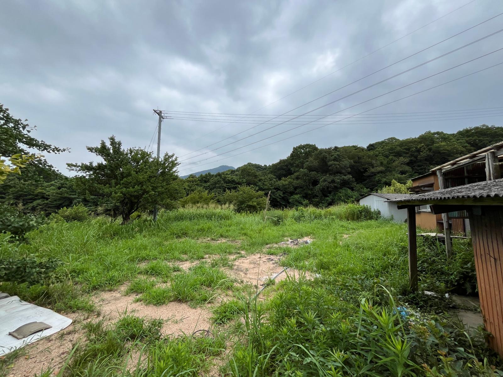 の画像