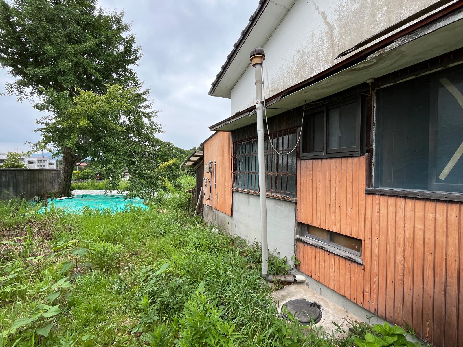 の画像