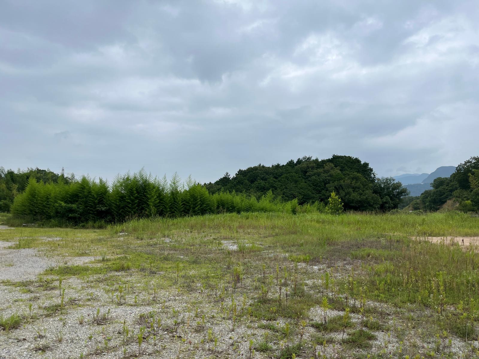 の画像