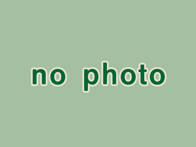 No.213の画像