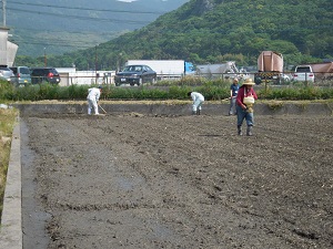 肥料を撒いている写真