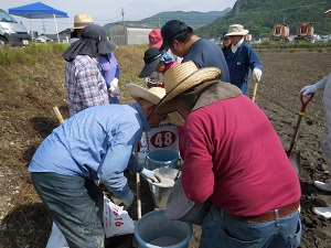 肥料を撒く準備をしている写真2