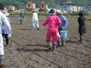 肥料を撒いている写真2