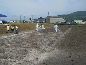 石灰を撒いている写真2