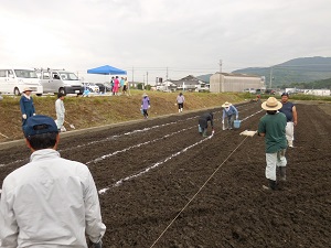 引いた紐に沿ってラインを引いている写真