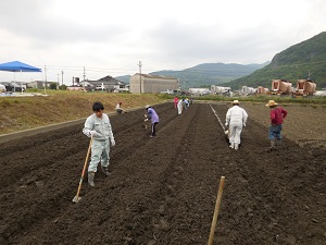 畝をくわ等で整えている写真2