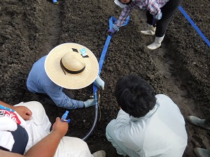 灌水チューブを設置している写真
