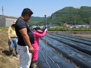 支柱を立てている写真