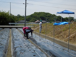 支柱を配っている写真