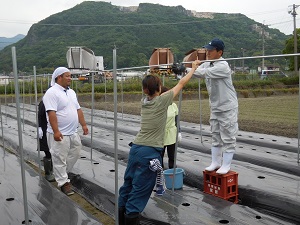 支柱の横管をつけている写真