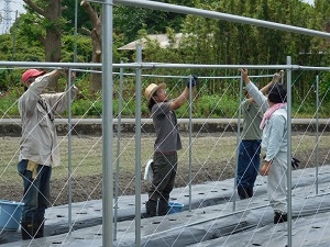 支柱の横管をつけている写真3