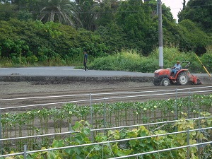 トラクターで畑をすいている写真（8月29日）