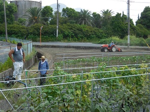 トラクターで畑をすいている写真2（8月29日）